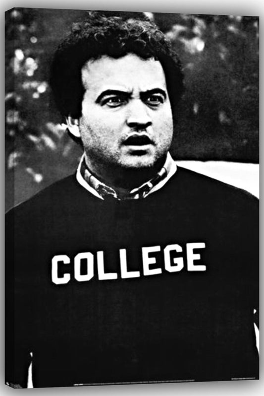 Animal House John Belushi College Movies(paper and canvas) art poster printing print