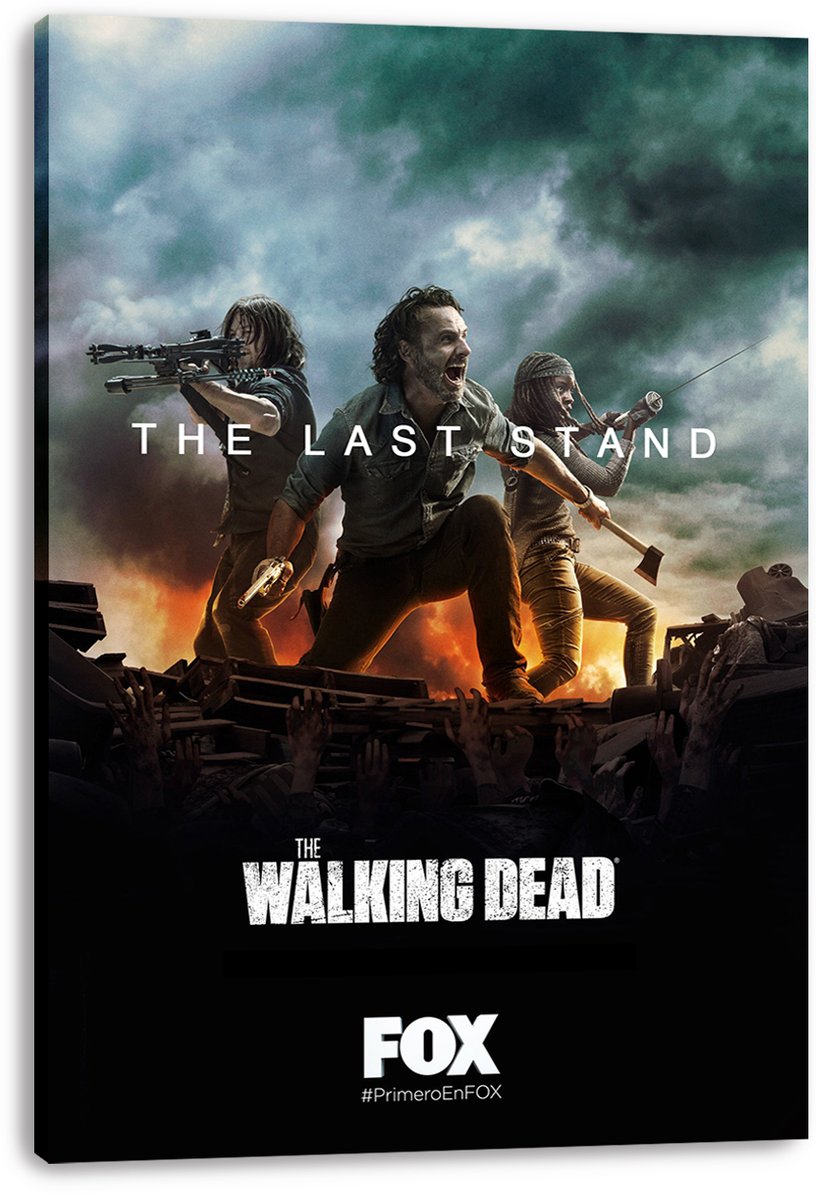 The Walking Dead 'The Last Stand' Decorative Painting (paper and canvas) art poster printing print