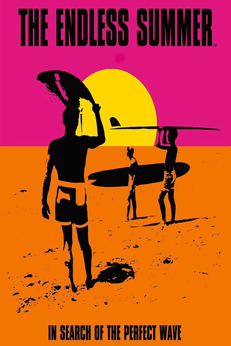 The Endless Summer Movie Decorative Painting (paper and canvas) art poster printing print