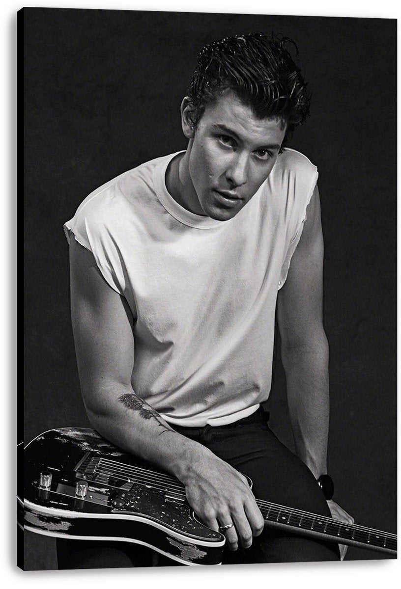 Shawn Mendes Decorative Painting (paper and canvas) art poster printing print