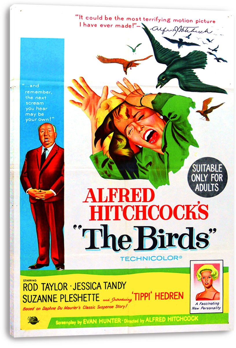 Alfred Hitchcock's The Birds Movie Poster Decorative Painting (paper and canvas) art poster printing print