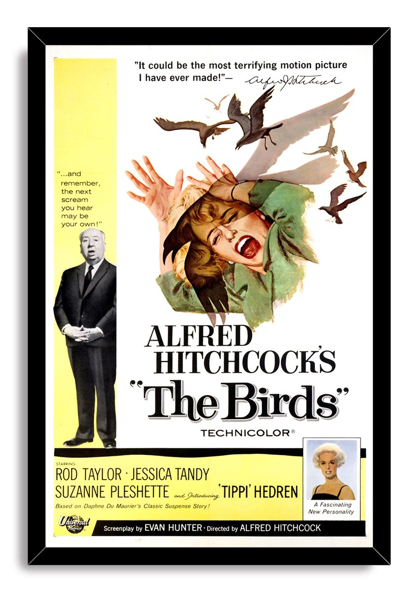 Alfred Hitchcock's The Birds Movie Poster Decorative Painting (paper and canvas) art poster printing print