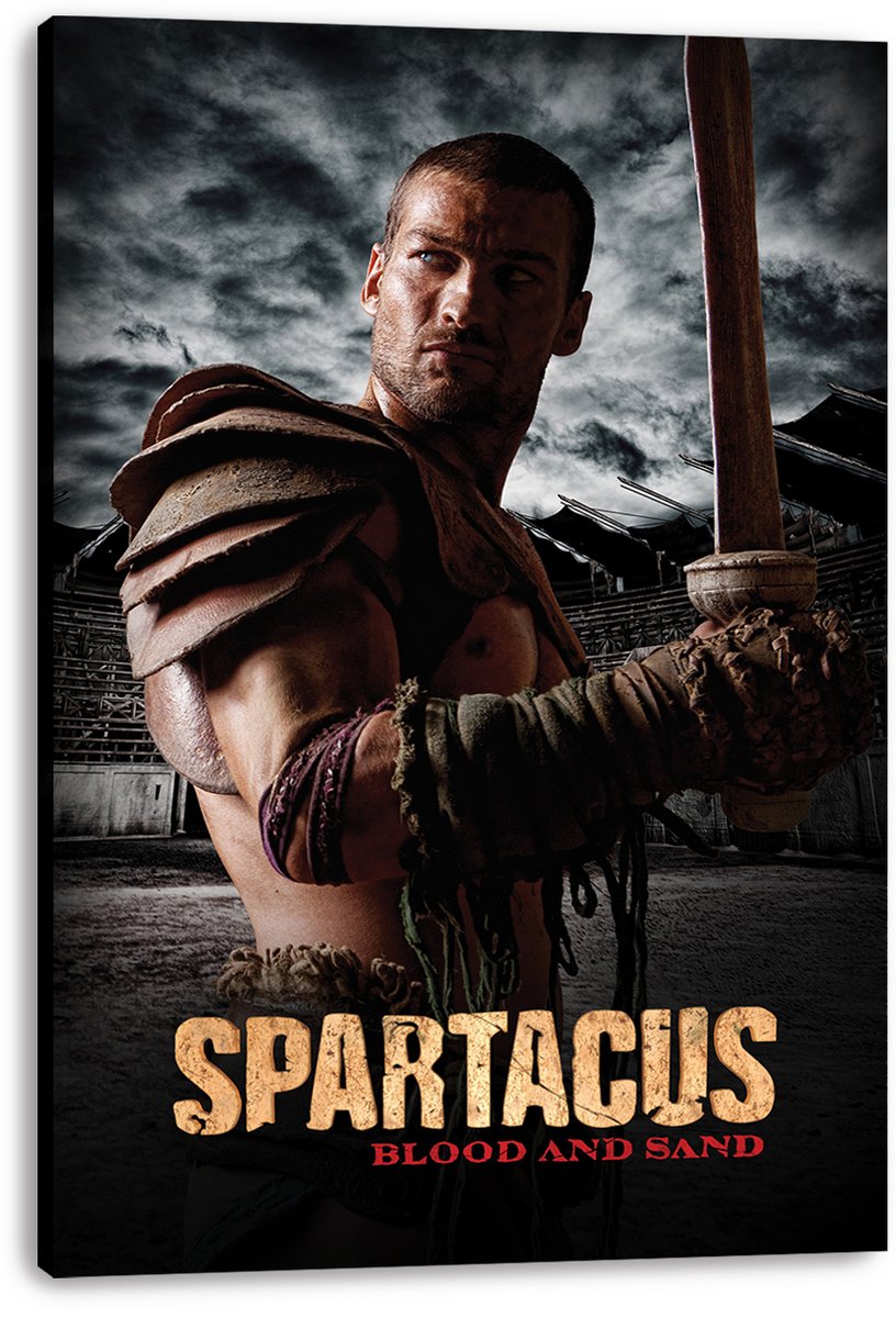 Spartacus Blood and Sand Decorative Painting (paper and canvas) art poster printing print