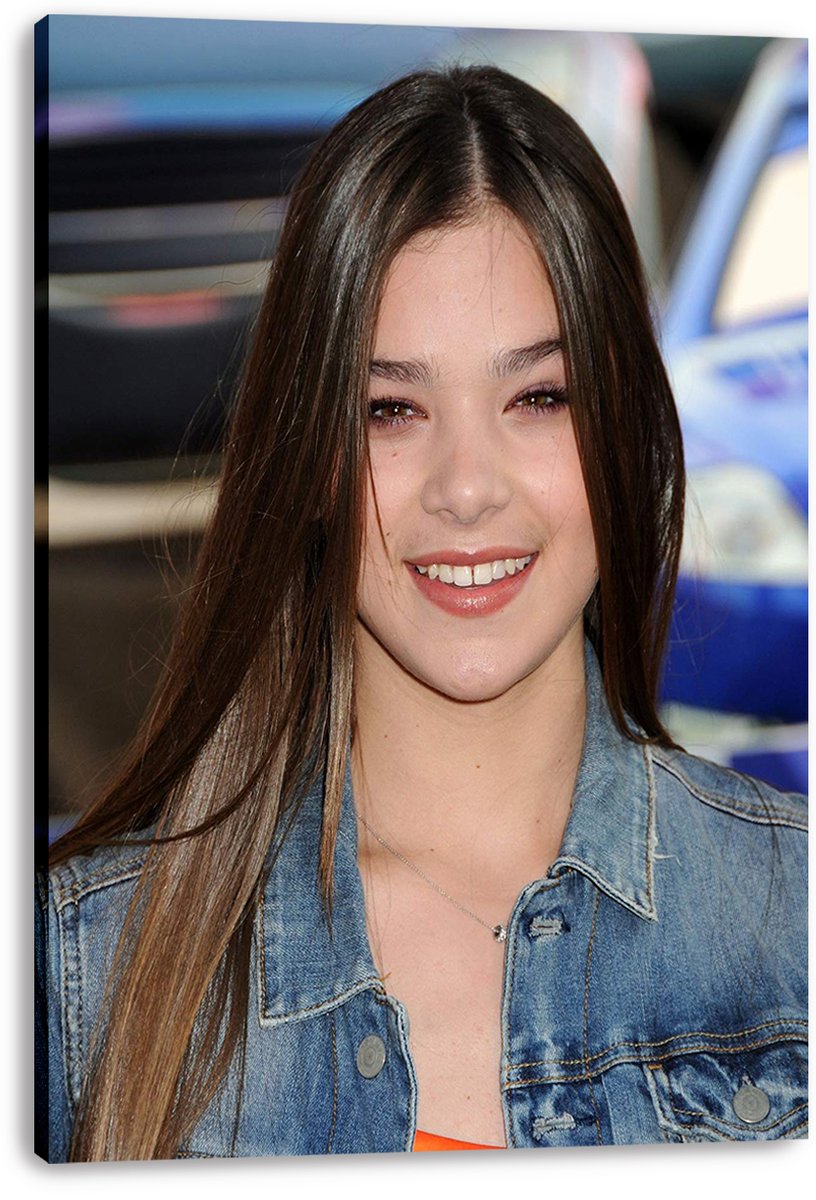 Hailee Steinfeld Decorative Painting (paper and canvas) art poster printing print