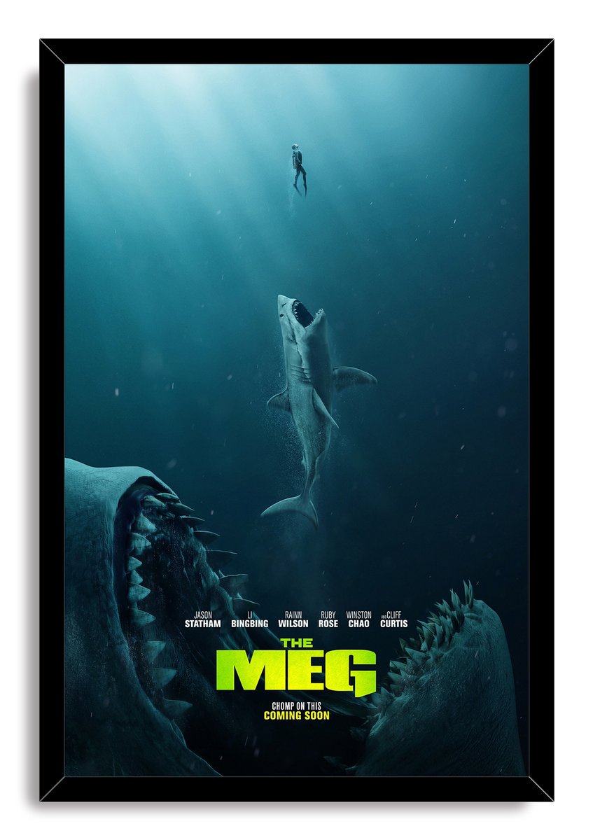 The Meg Movie Poster Decorative Painting (paper and canvas) art poster printing print