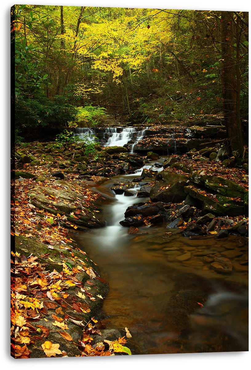 Autumn Forest Waterfall Decorative Painting (paper and canvas) art poster printing print