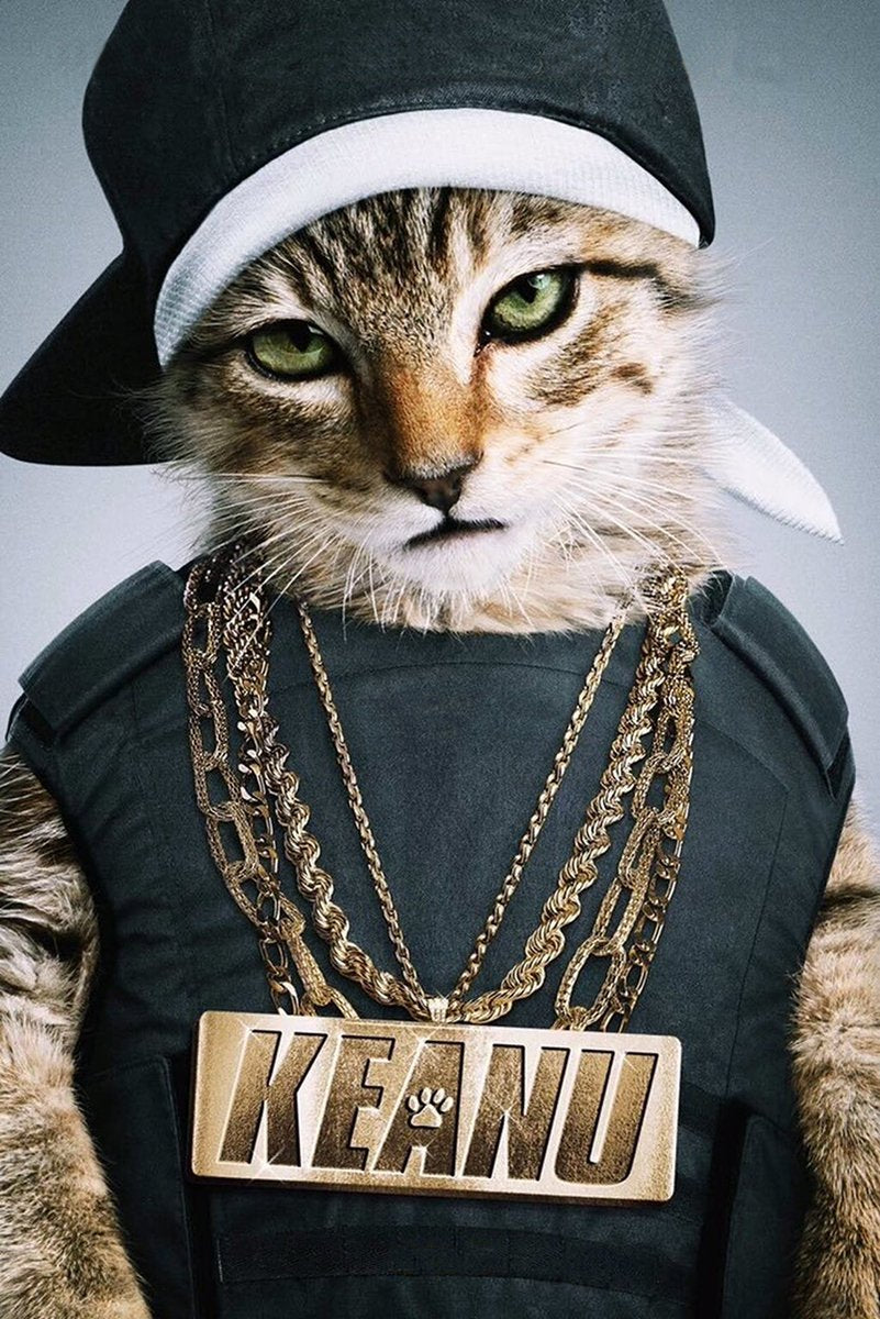 Hip-Hop Cat Keanu Decorative Painting (paper and canvas) art poster printing print