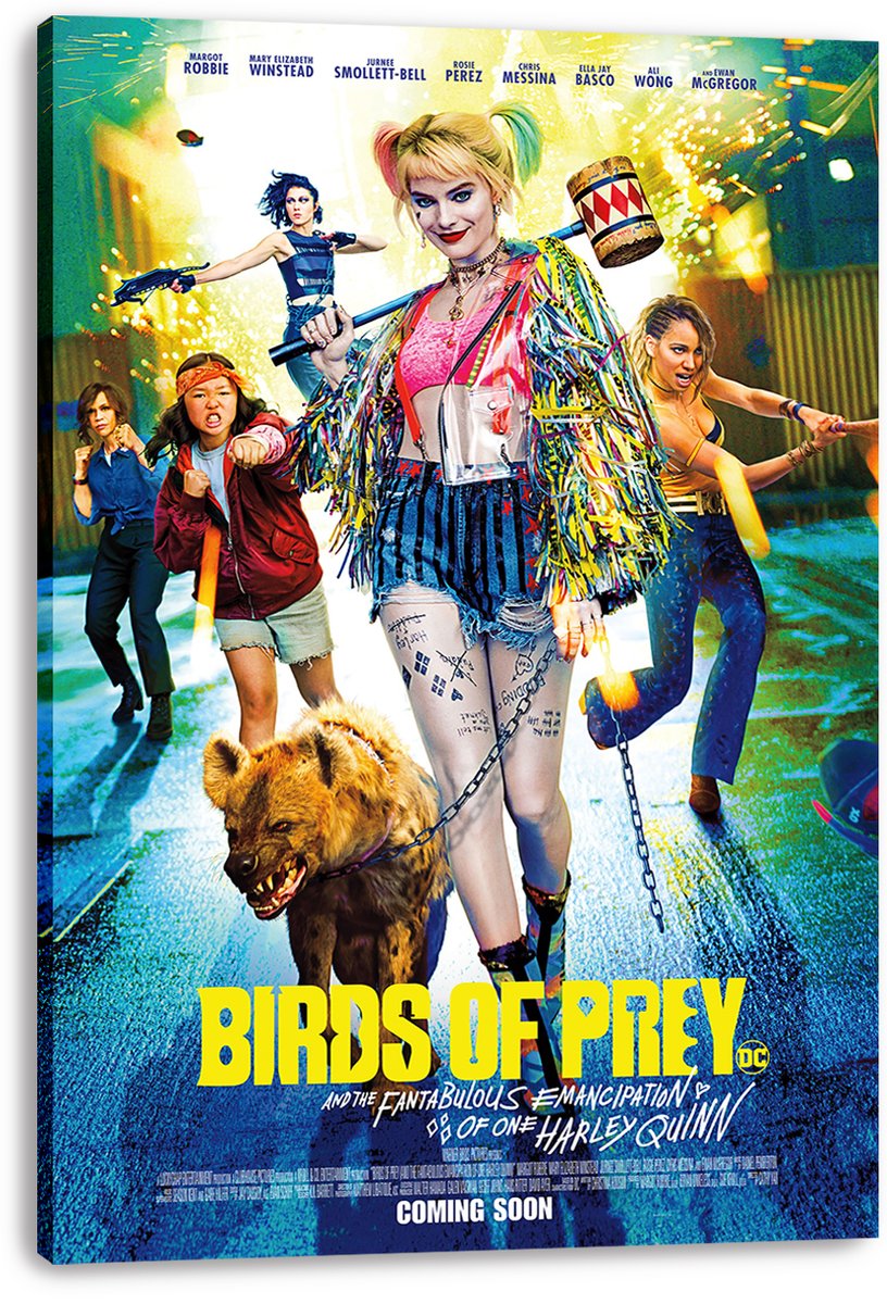 Harley Quinn and Birds of Prey Decorative Painting (paper and canvas) art poster printing print
