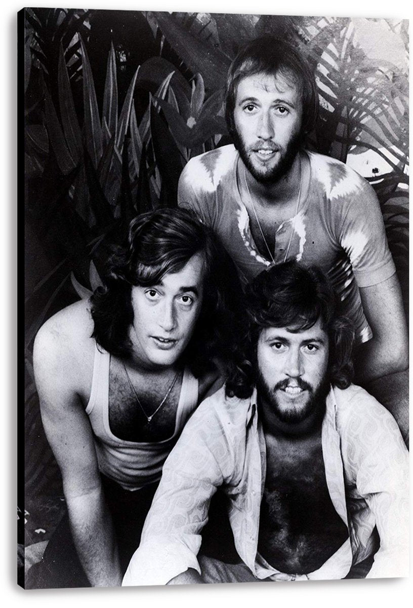 Bee Gees Decorative Painting (paper and canvas) art poster printing print