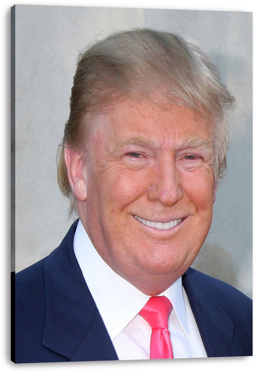 Donald Trump Decorative Painting (paper and canvas) art poster printing print