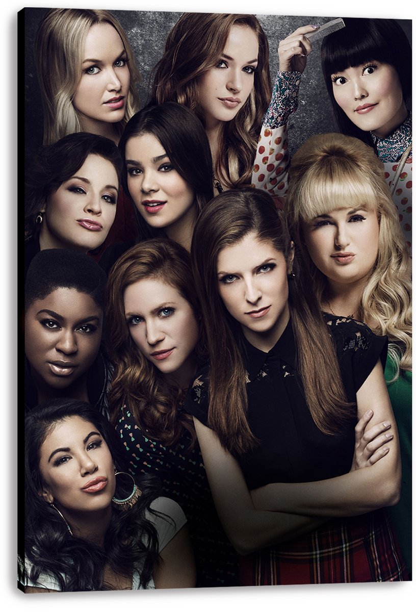 Pitch Perfect Movie Cast Decorative Painting (paper and canvas) art poster printing print