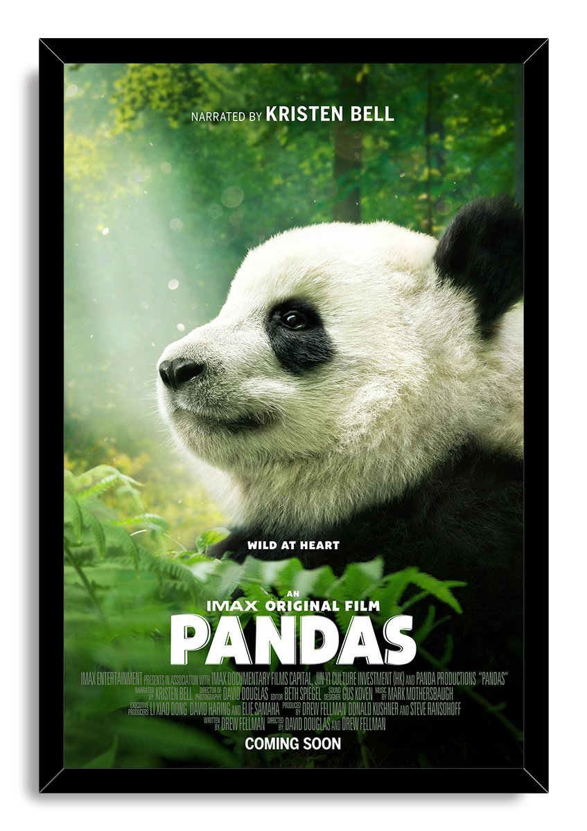 Baby Panda Decorative Painting (paper and canvas) art poster printing print