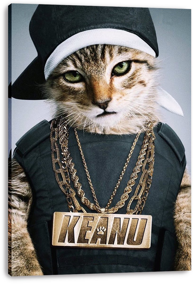 Hip-Hop Cat Keanu Decorative Painting (paper and canvas) art poster printing print