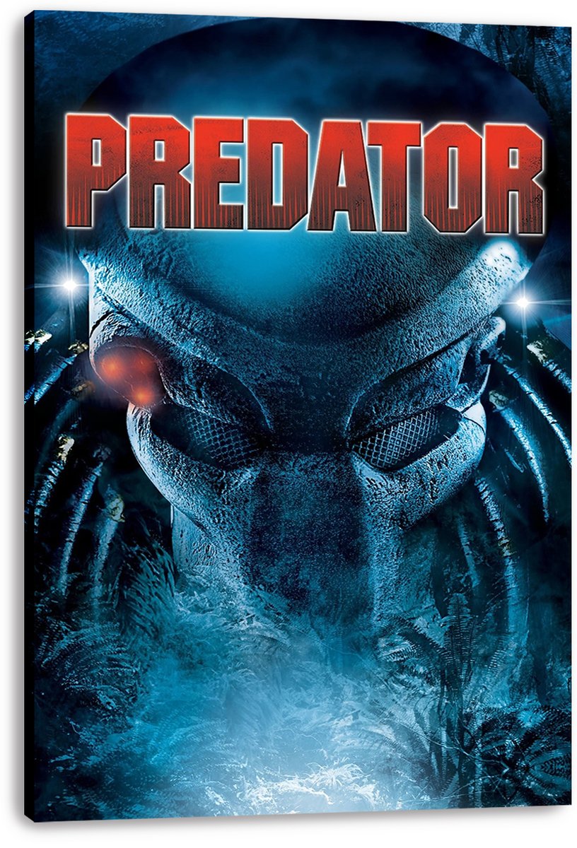 Predator Decorative Painting (paper and canvas) art poster printing print