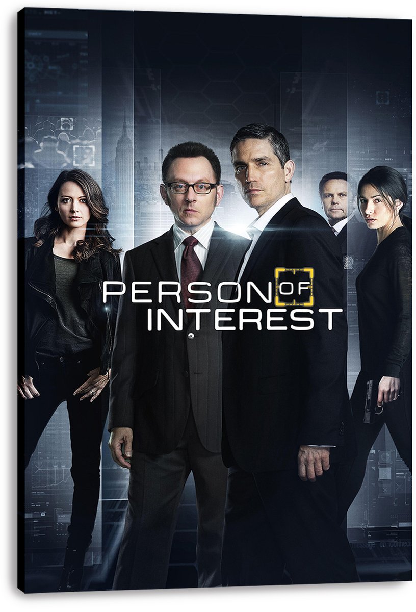 Person of Interest TV Show Cast Decorative Painting (paper and canvas) art poster printing print