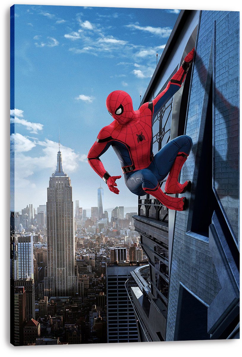 Spider-Man Decorative Painting (paper and canvas) art poster printing print