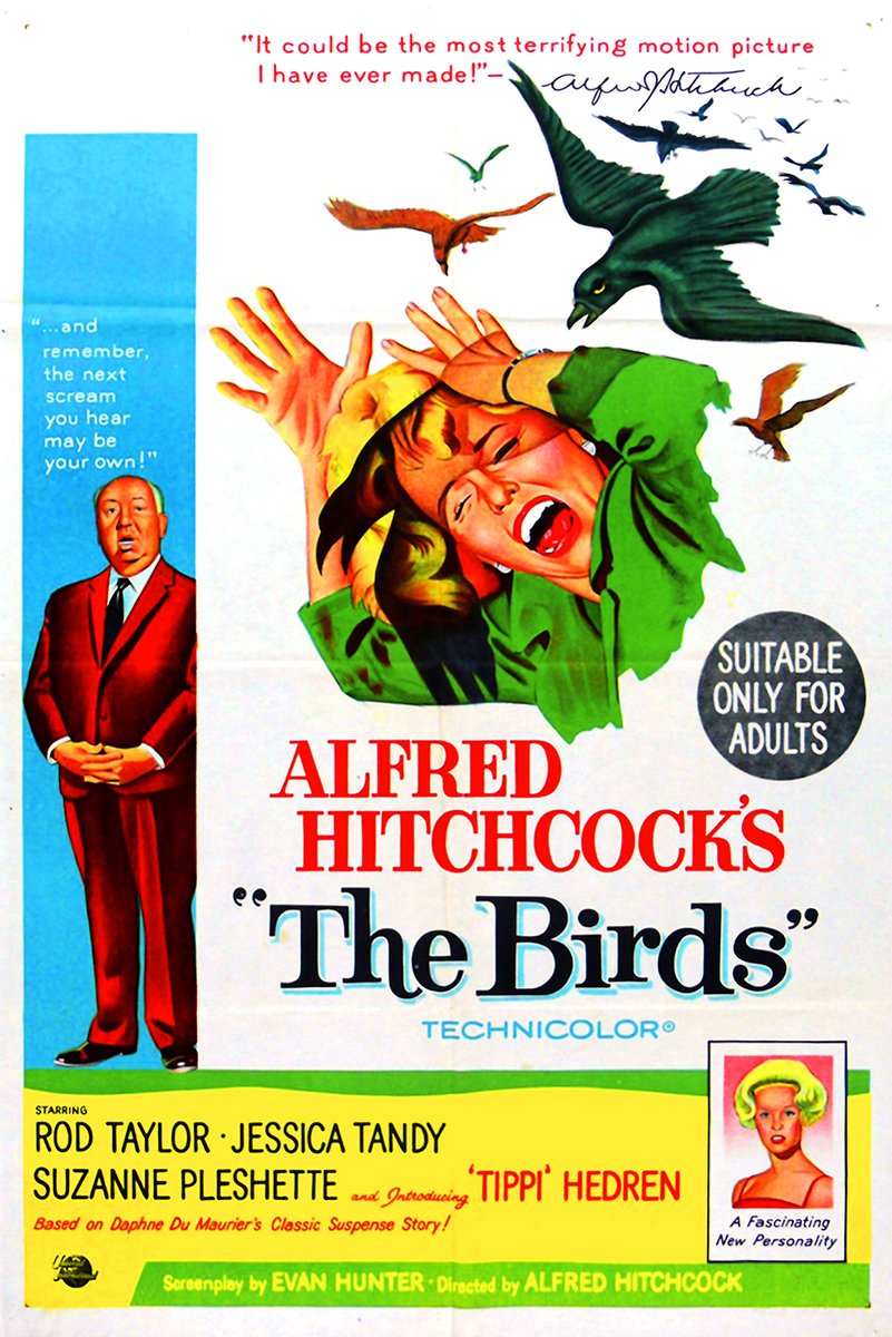 Alfred Hitchcock's The Birds Movie Poster Decorative Painting (paper and canvas) art poster printing print