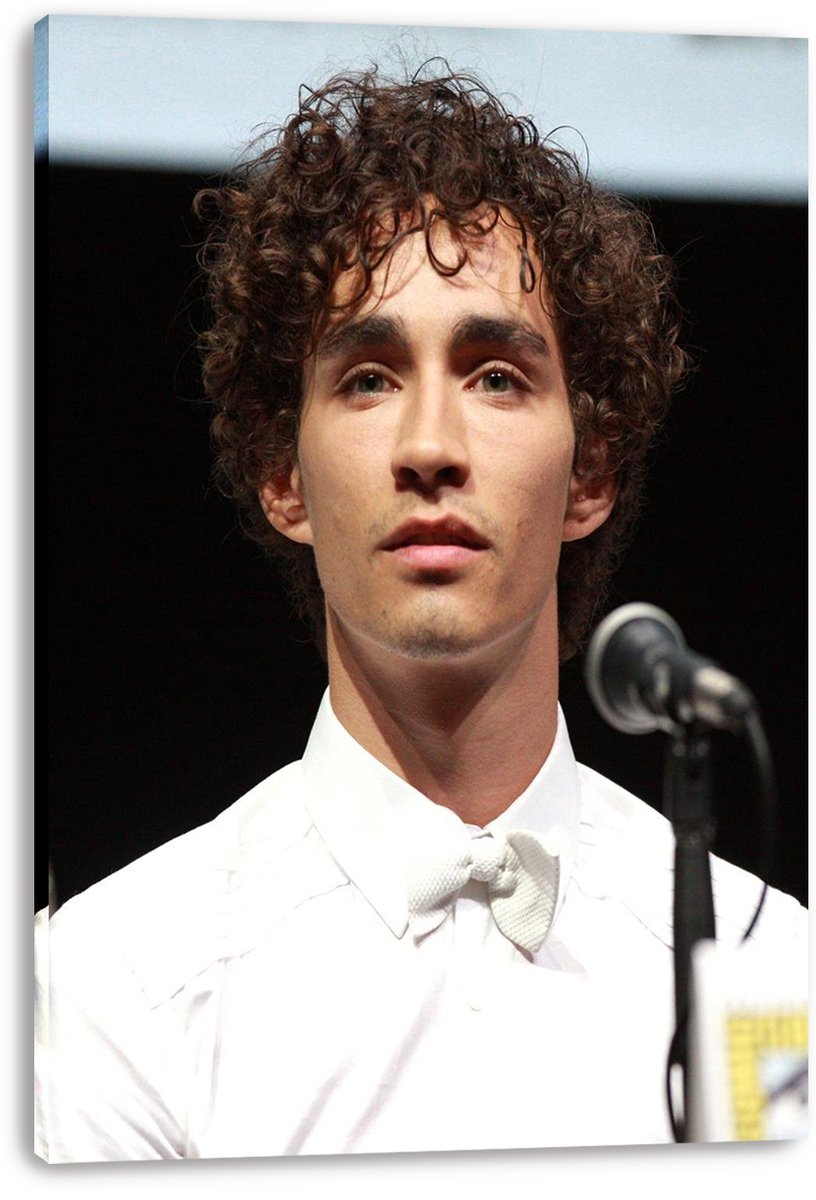 Robert Sheehan Decorative Painting (paper and canvas) art poster printing print
