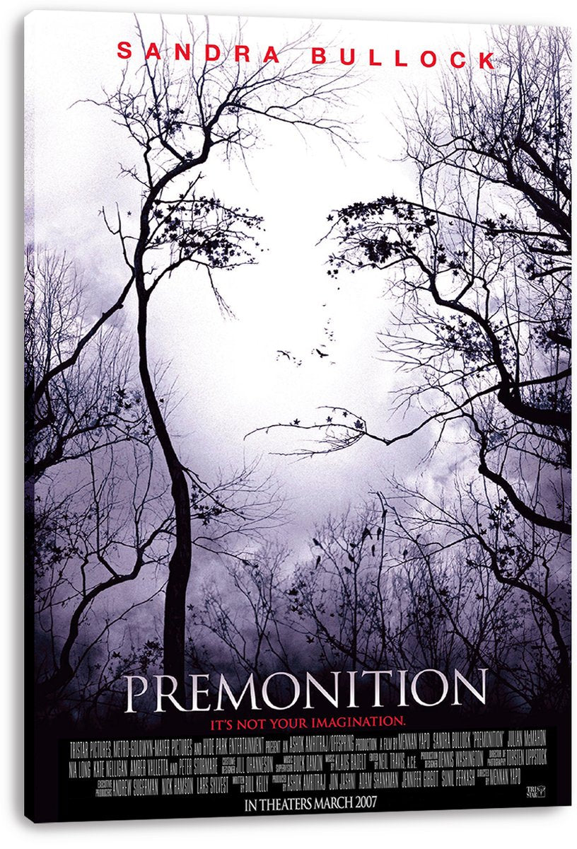 Sandra Bullock Premonition Movie Decorative Painting (paper and canvas) art poster printing print