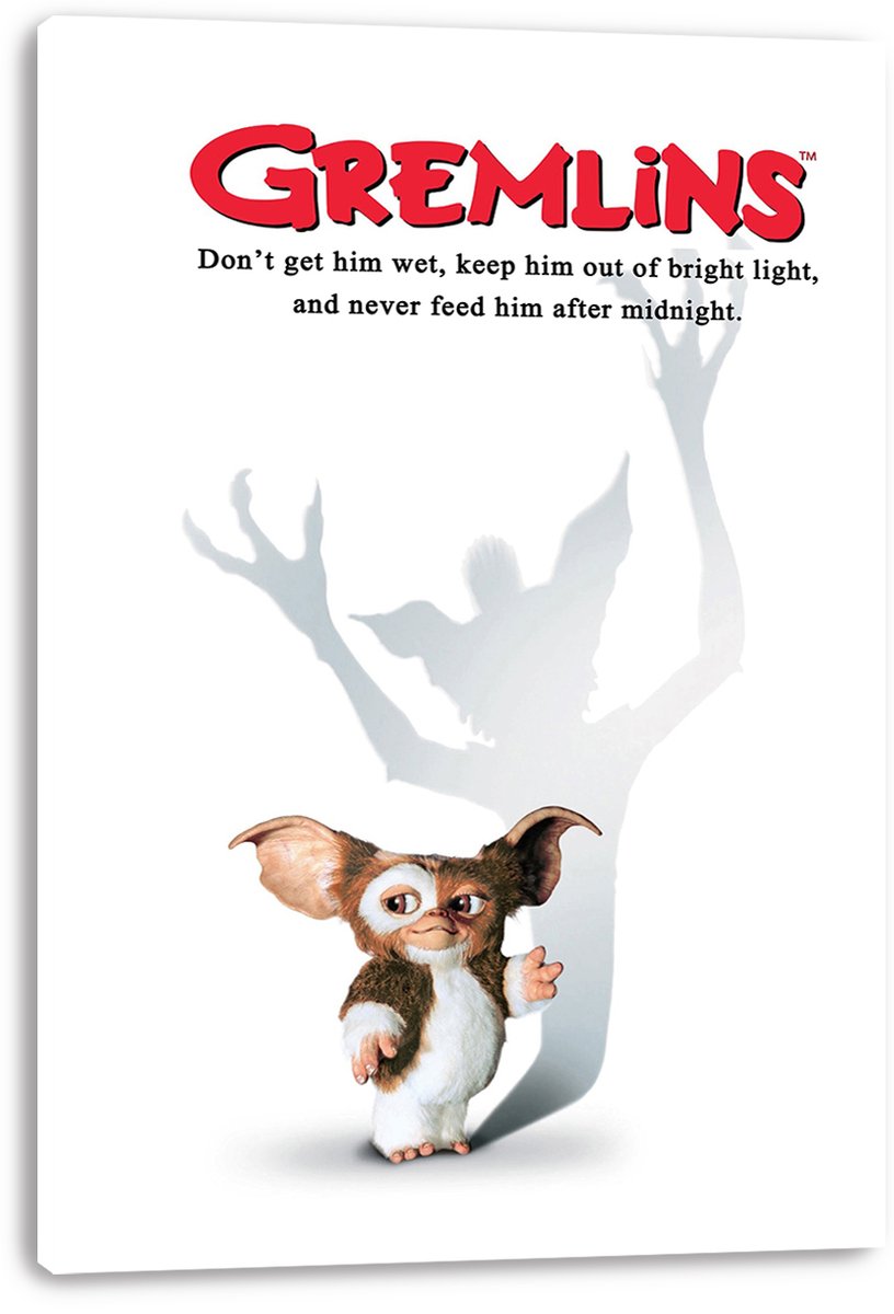 Gremlins Decorative Painting (paper and canvas) art poster printing print