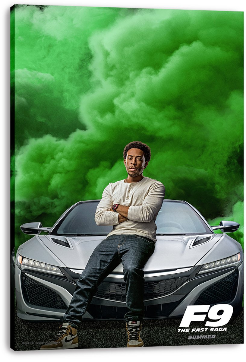 Ludacris F9 Fast & Furious Decorative Painting (paper and canvas) art poster printing print