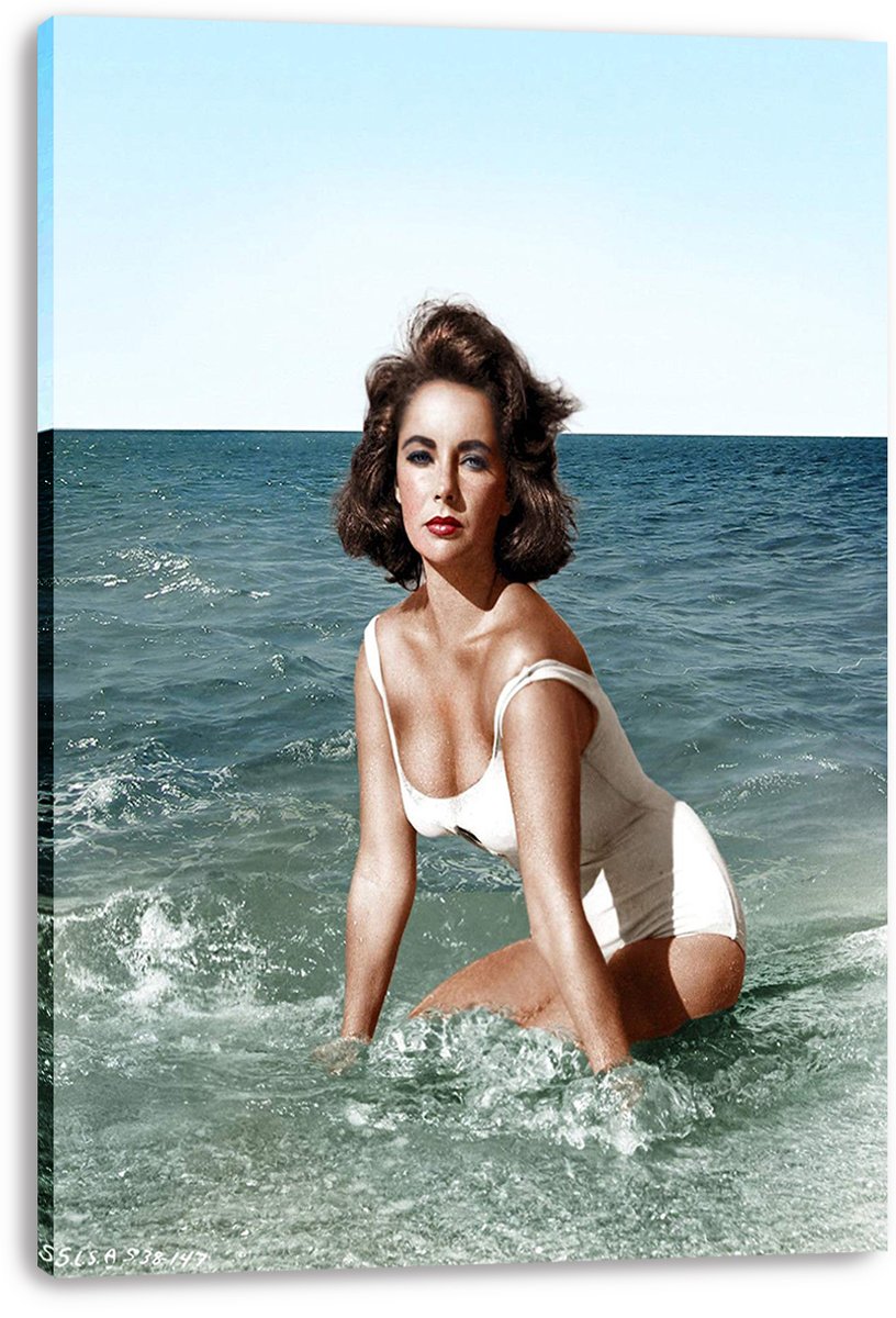 Elizabeth Taylor Decorative Painting (paper and canvas) art poster printing print