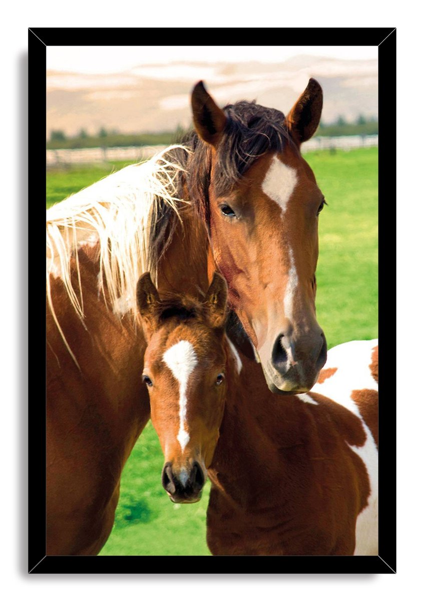 Horse Family Decorative Painting (paper and canvas) art poster printing print