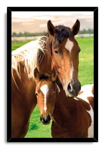 Wooden Framed Canvas