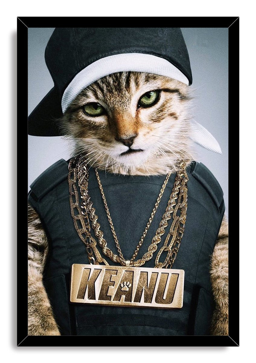 Hip-Hop Cat Keanu Decorative Painting (paper and canvas) art poster printing print