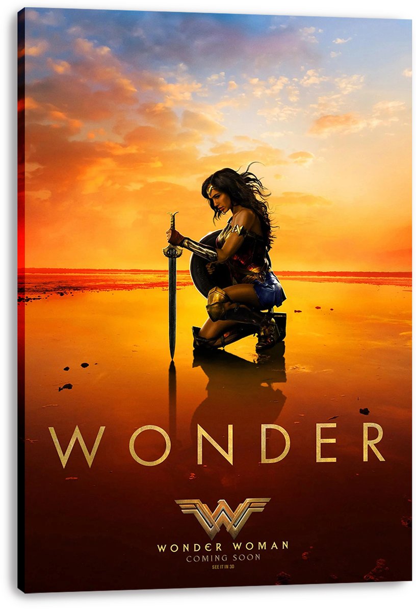 Wonder Woman Decorative Painting (paper and canvas) art poster printing print