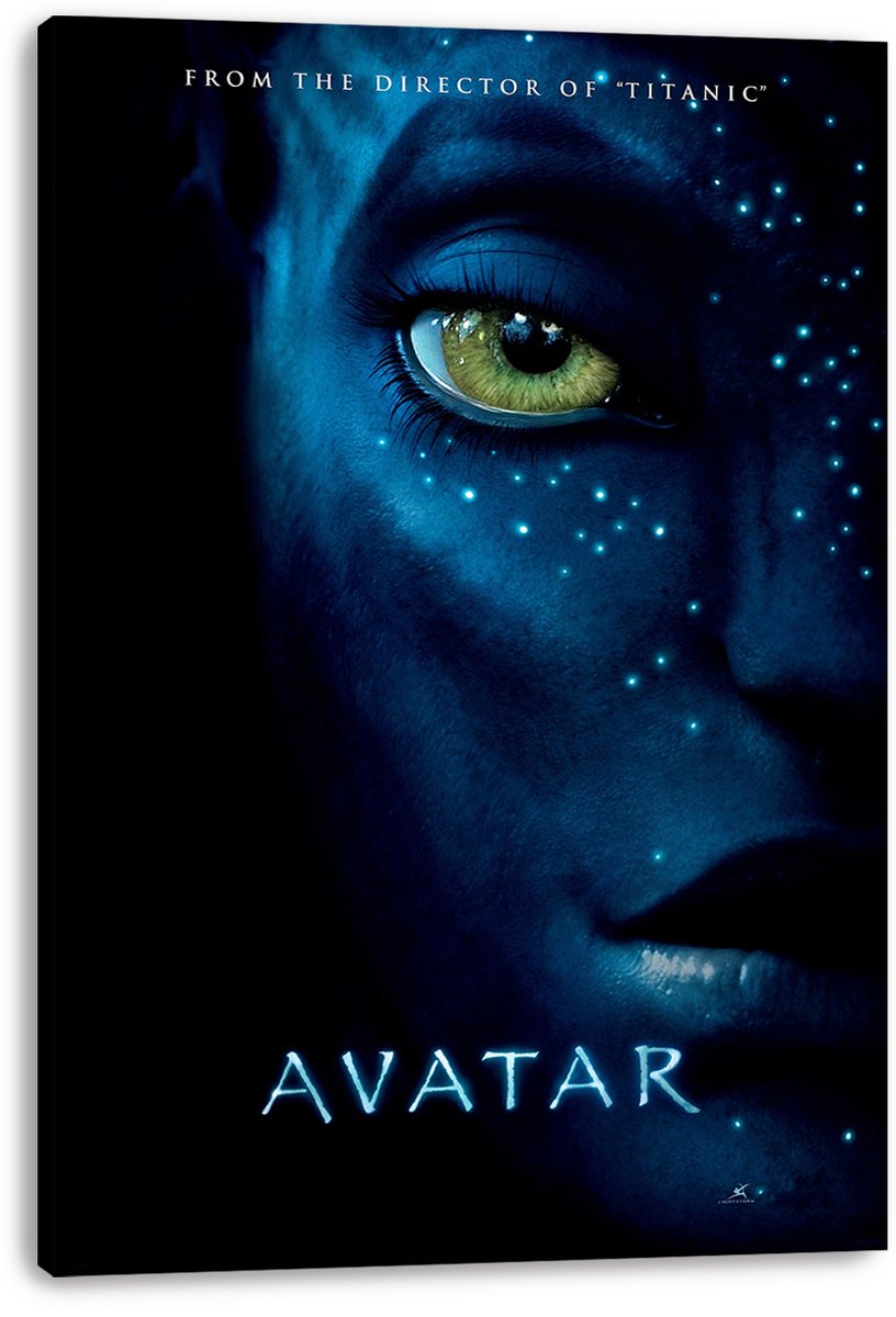 Avatar Movie Poster Decorative Painting (paper and canvas) art poster printing print