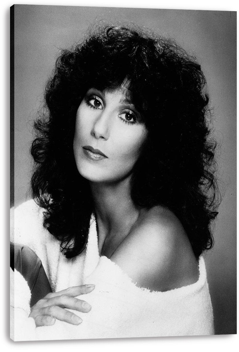 Cher Decorative Painting (paper and canvas) art poster printing print