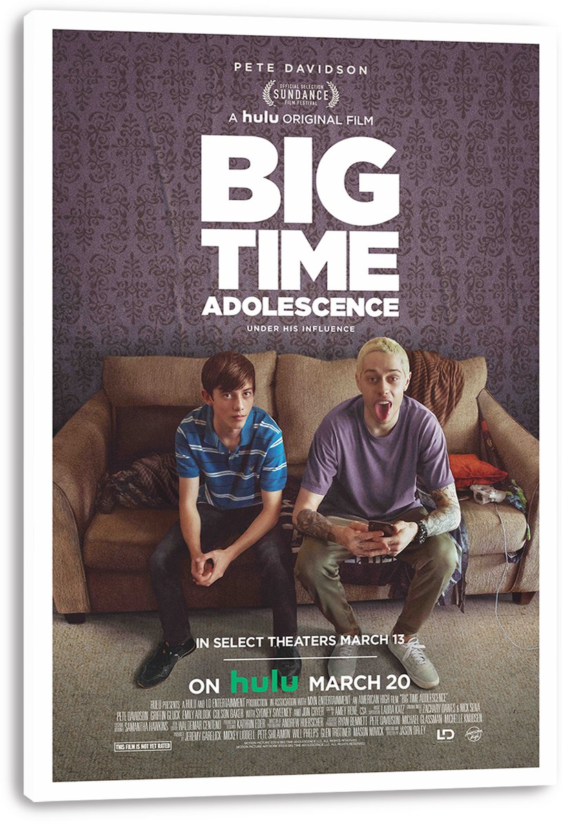 Big Time Adolescence Movie Poster featuring Pete Davidson Decorative Painting (paper and canvas) art poster printing print