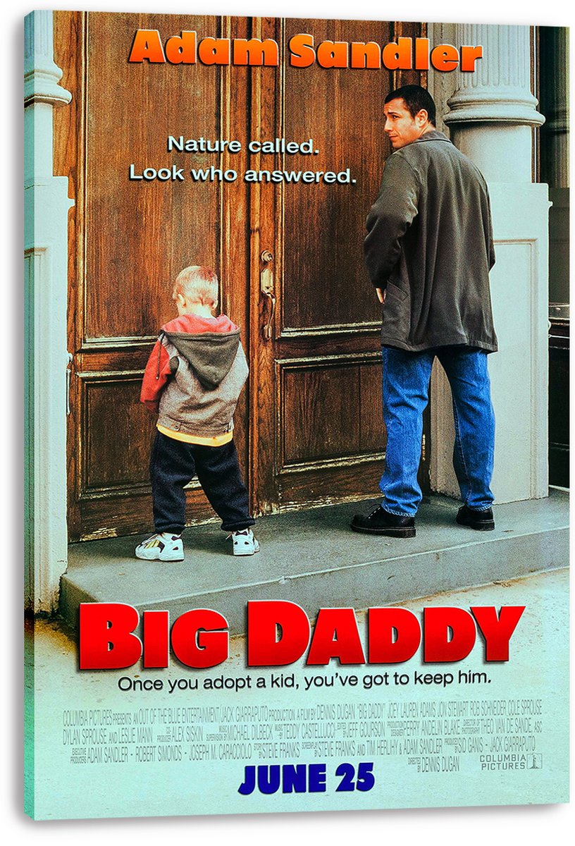 Adam Sandler Big Daddy Movie Decorative Painting (paper and canvas) art poster printing print