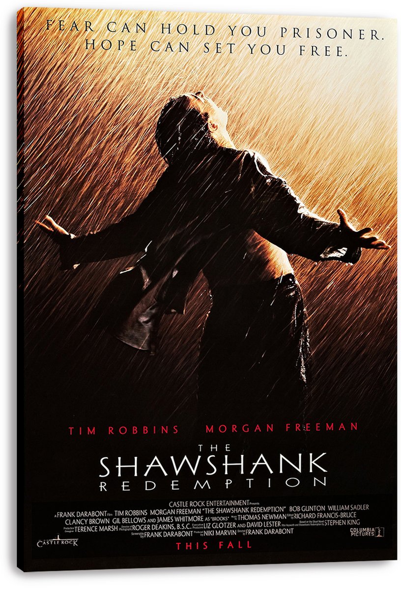 The Shawshank Redemption Decorative Painting (paper and canvas) art poster printing print