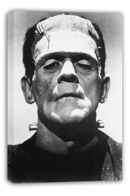 Frankenstein Boris Karloff Movie Poster Print B004008U2Q