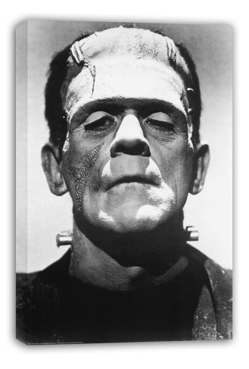 Frankenstein Boris Karloff (Paper and Canvas) Art Poster Printing Print B004008U2Q