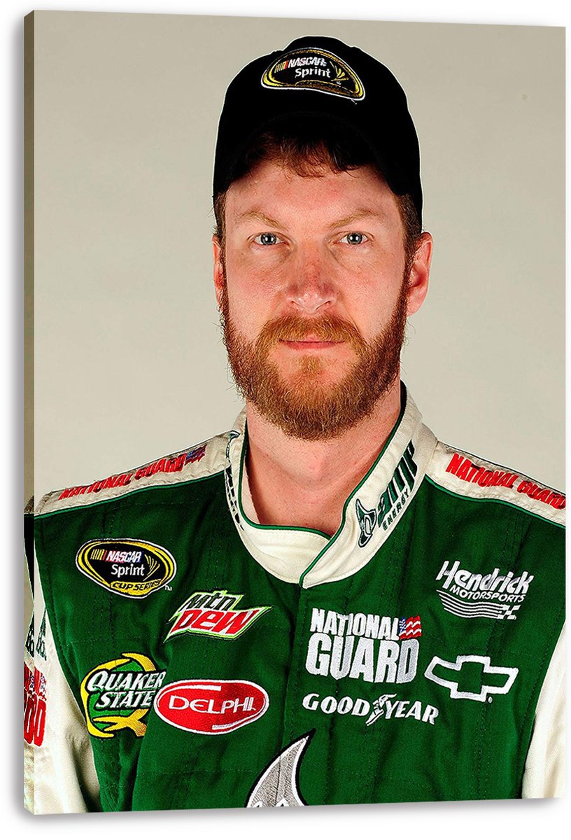 Dale Earnhardt Jr. Decorative Painting (paper and canvas) art poster printing print