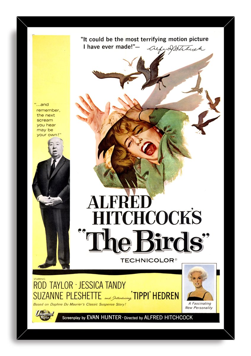 Alfred Hitchcock's The Birds Movie Poster Decorative Painting (paper and canvas) art poster printing print