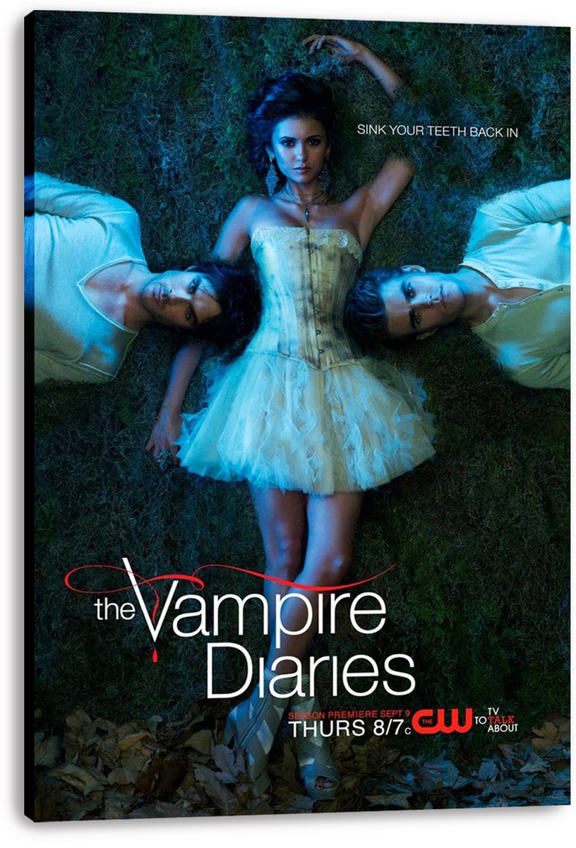 The Vampire Diaries Cast Decorative Painting (paper and canvas) art poster printing print
