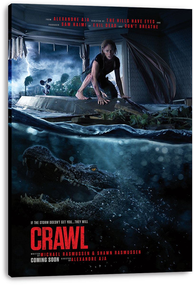 Crawl Movie Poster Decorative Painting (paper and canvas) art poster printing print