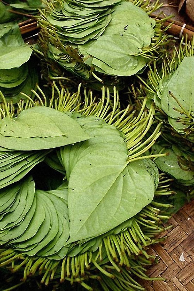 Betel Leaves Decorative Painting (paper and canvas) art poster printing print