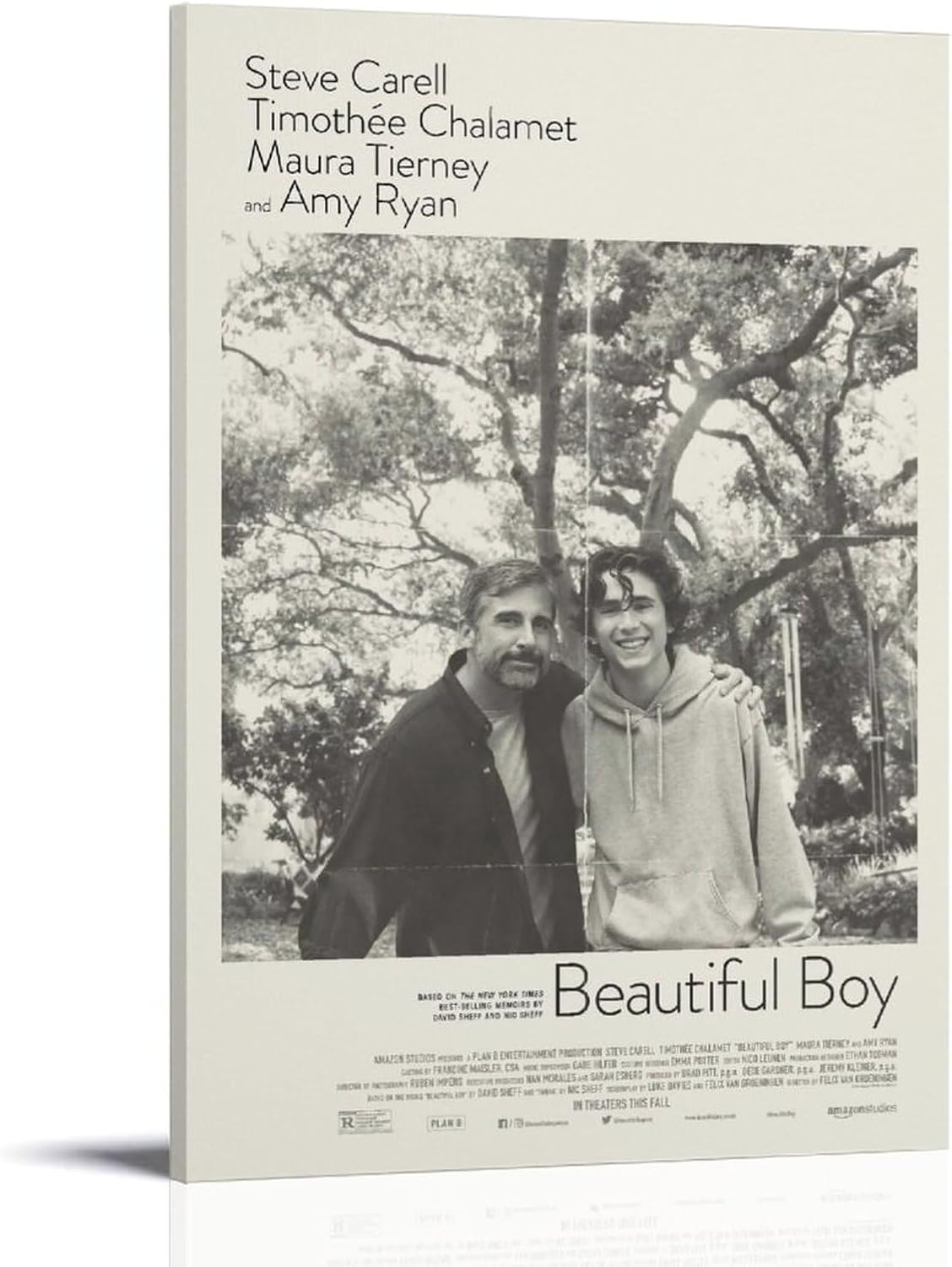 Beautiful Boy Movie Poster for Bedroom Aesthetic Wall Decor (Paper and Canvas) Art Poster Printing Print
