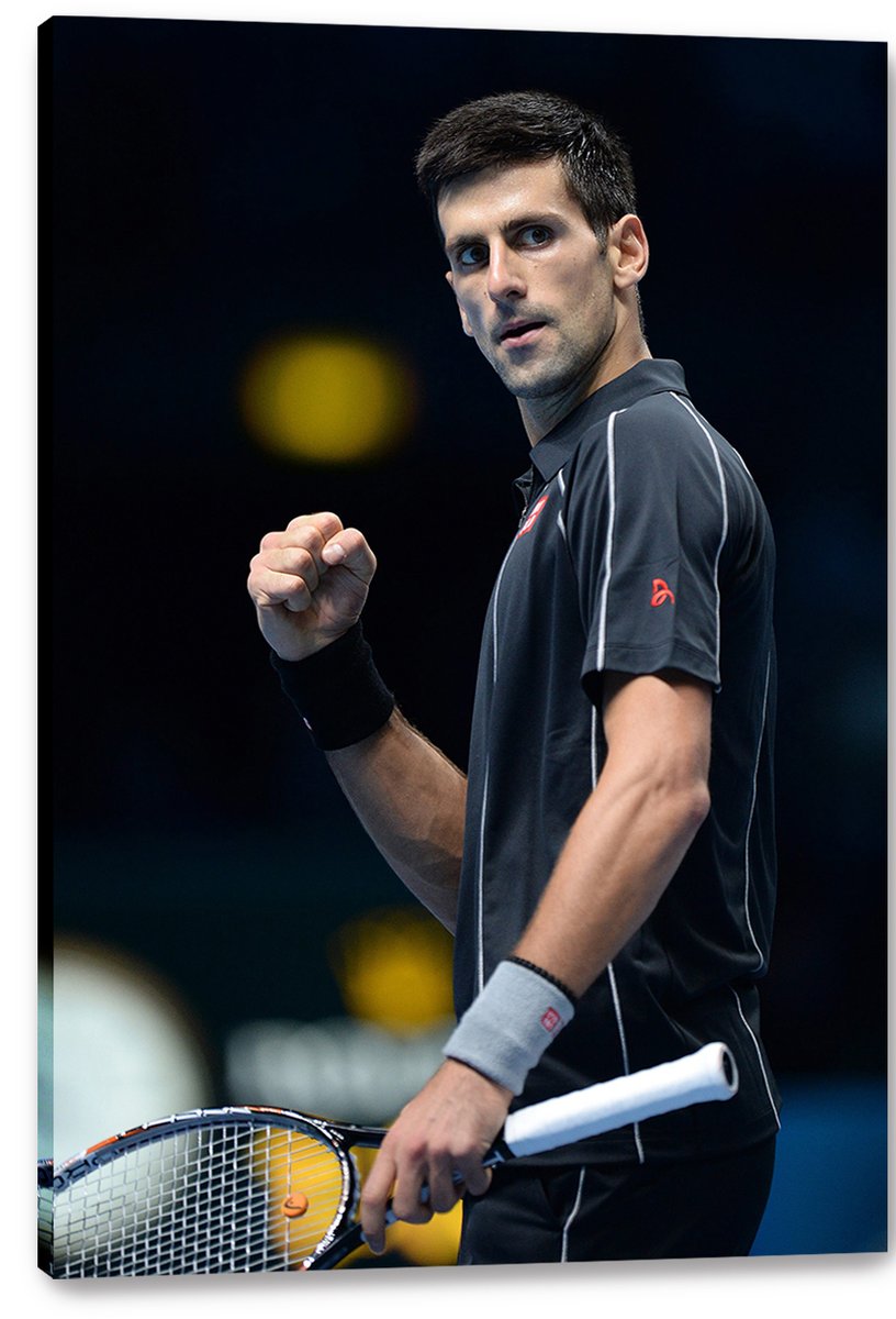 Novak Djokovic Decorative Painting (paper and canvas) art poster printing print