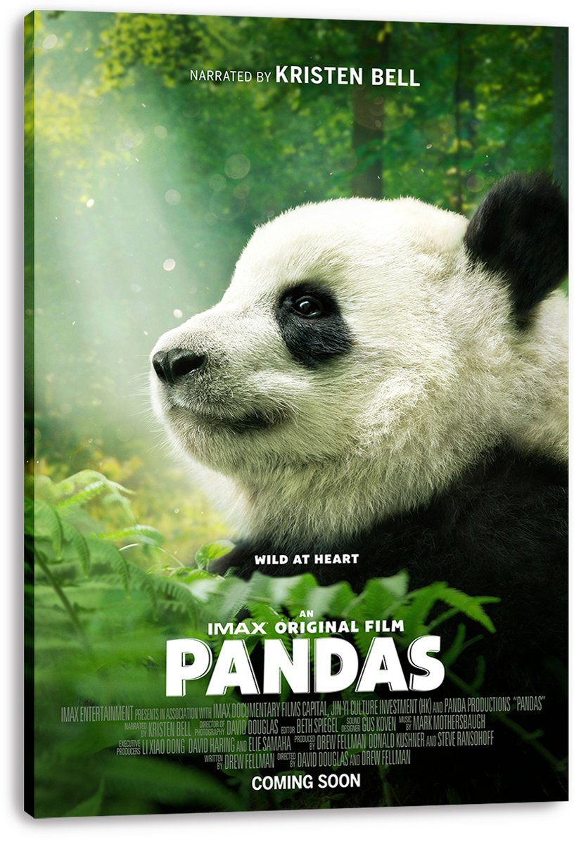 Baby Panda Decorative Painting (paper and canvas) art poster printing print