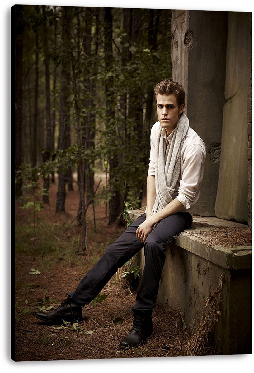 Paul Wesley Decorative Painting (paper and canvas) art poster printing print