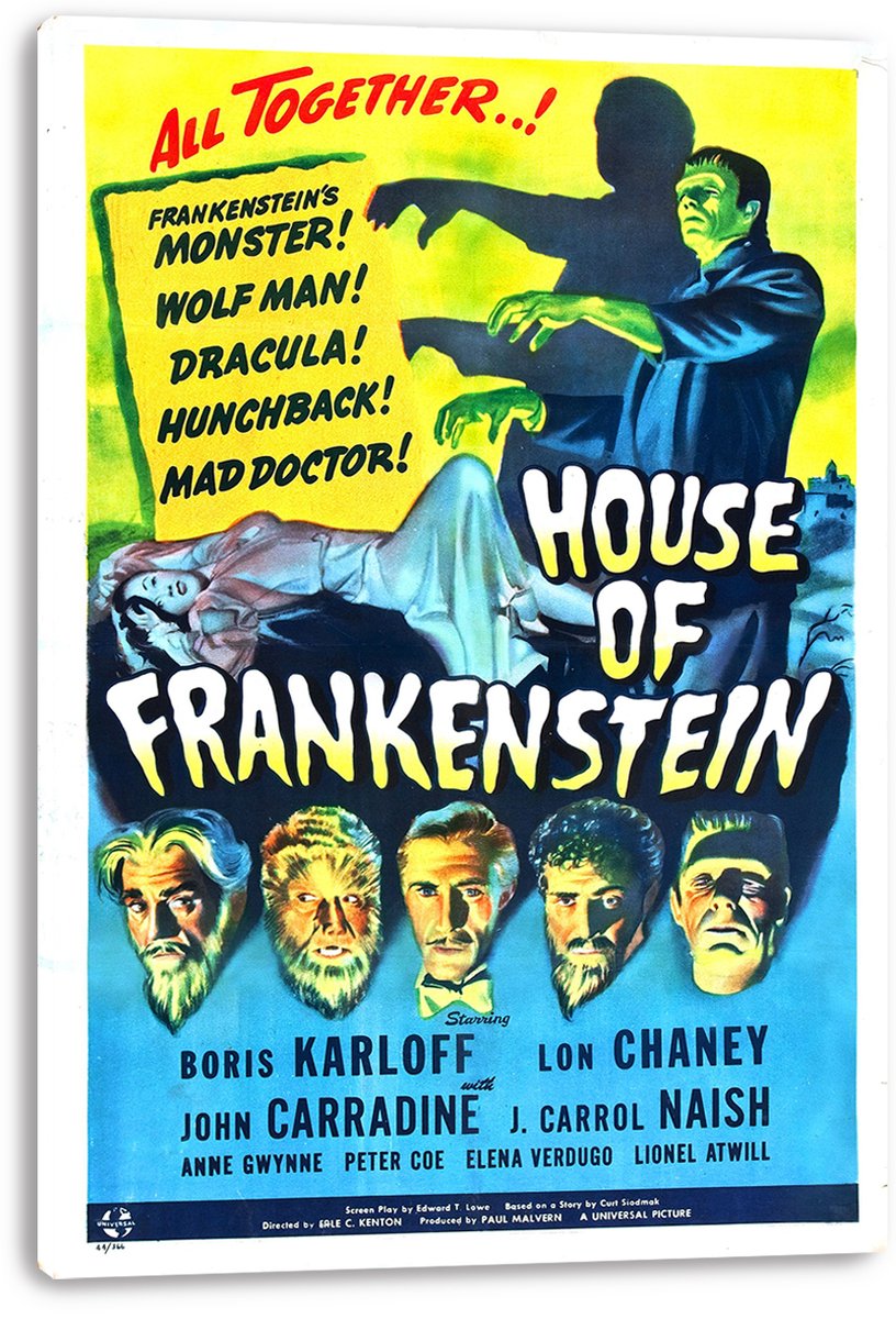 House of Frankenstein Classic Monsters Decorative Painting (paper and canvas) art poster printing print