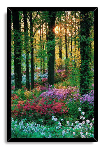 Wooden Framed Canvas