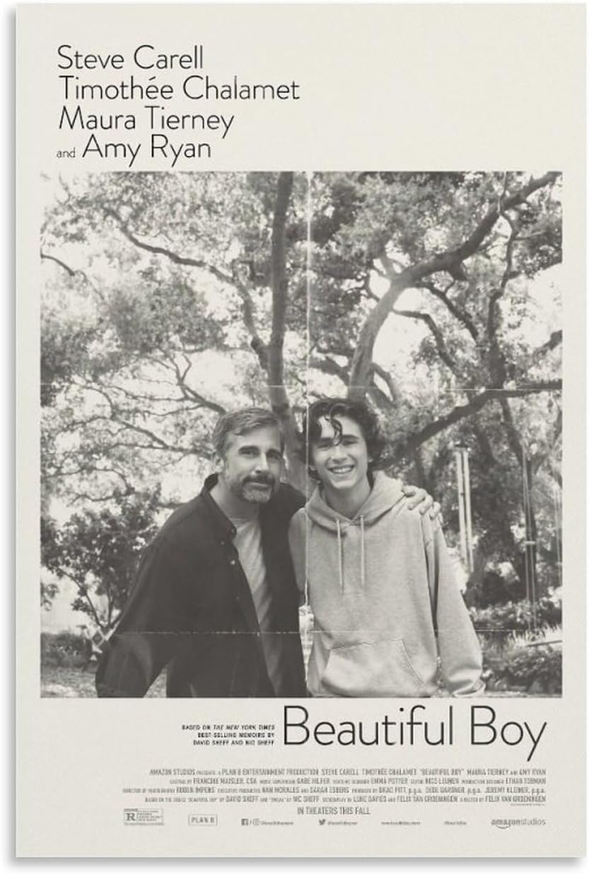 Beautiful Boy Movie Poster for Bedroom Aesthetic Wall Decor (Paper and Canvas) Art Poster Printing Print