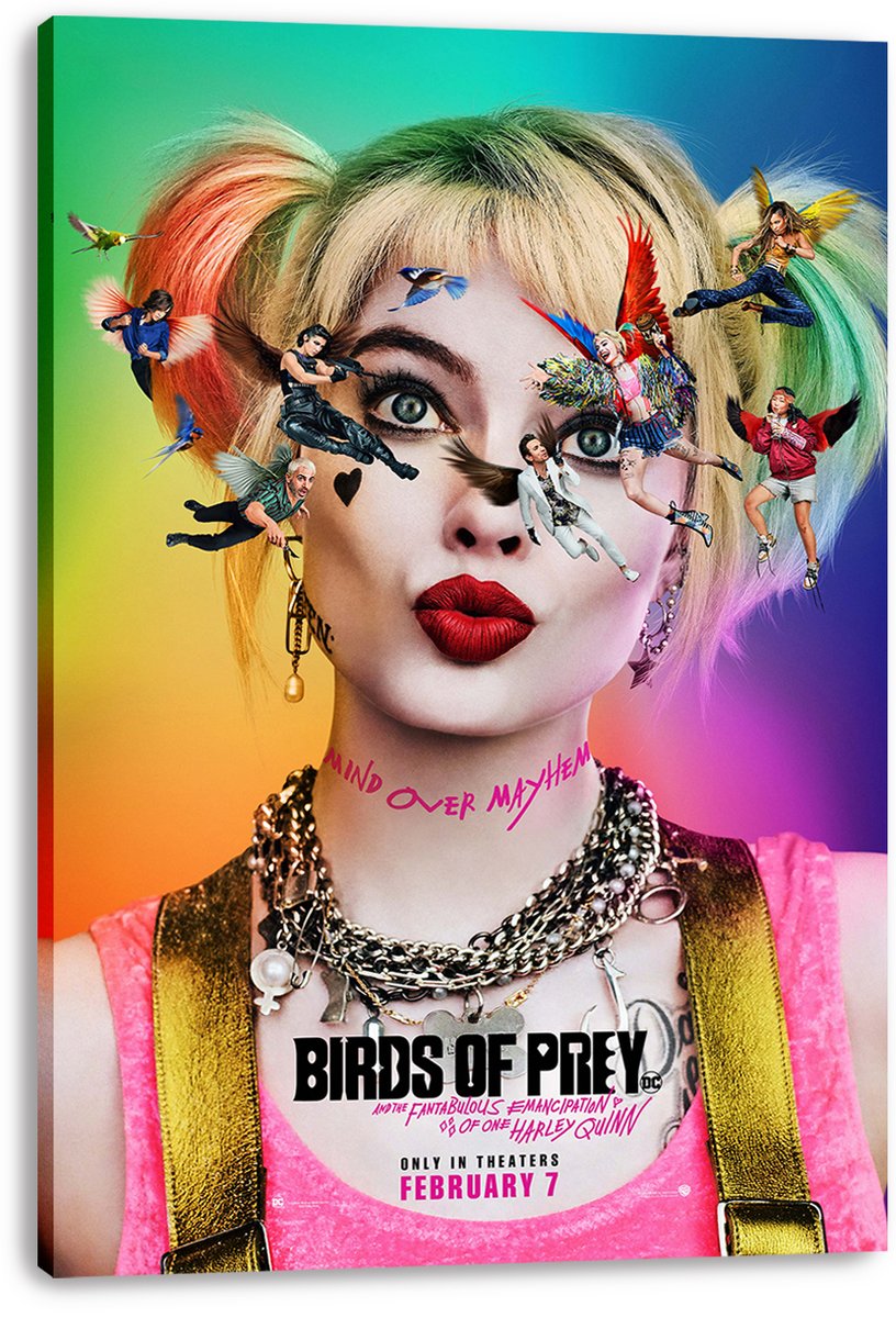 Birds of Prey Harley Quinn Decorative Painting (paper and canvas) art poster printing print